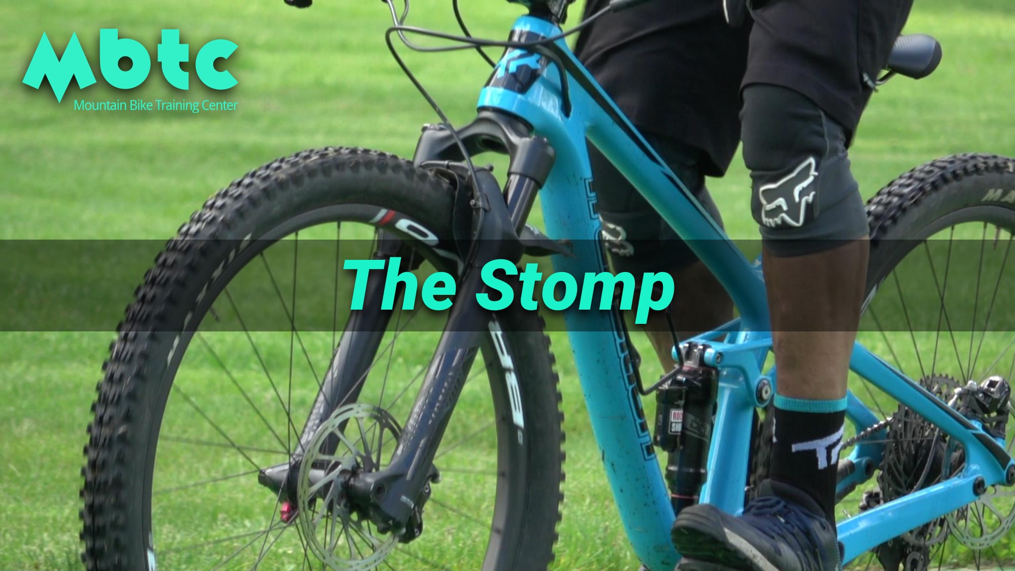 The Stomp