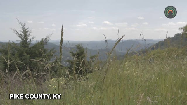 Mountain Top Nature - Mountains