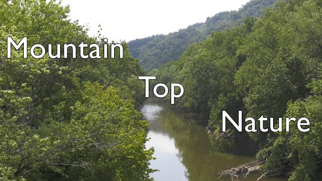 Mountain Top Nature