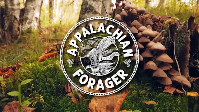 Appalachian Forager Episode 3 - Old M...