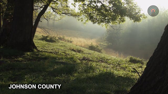 Mountain Top Nature - Day Timelapse