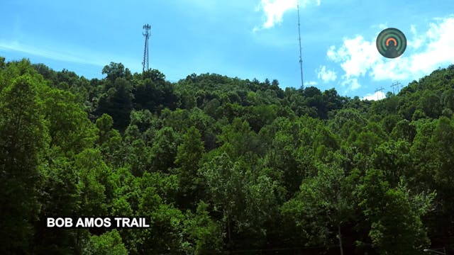 Mountain Top Nature - Bob Amos