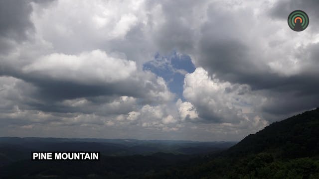 Mountain Top Nature - Bugs and Animals