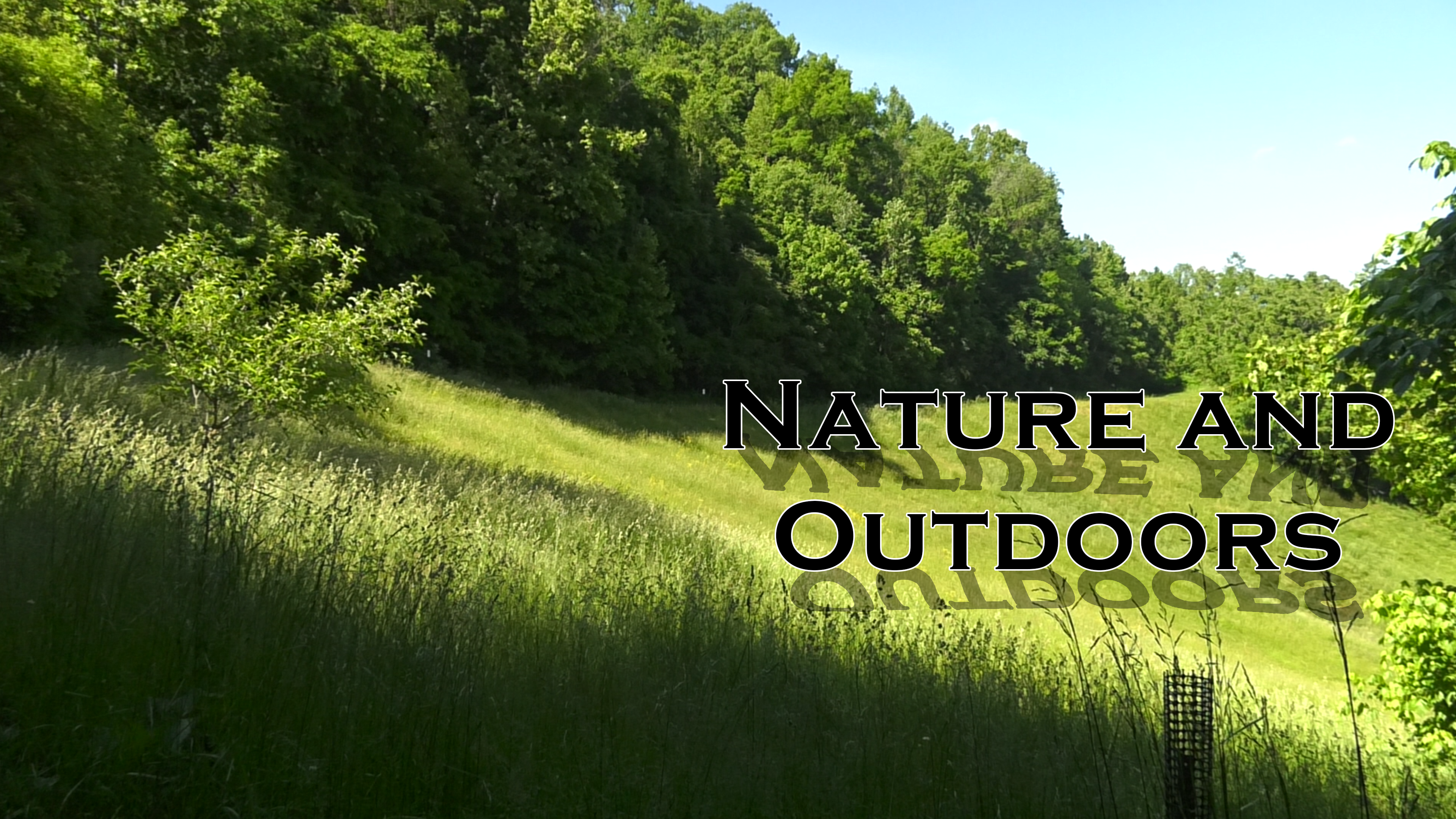 Nature and Outdoors