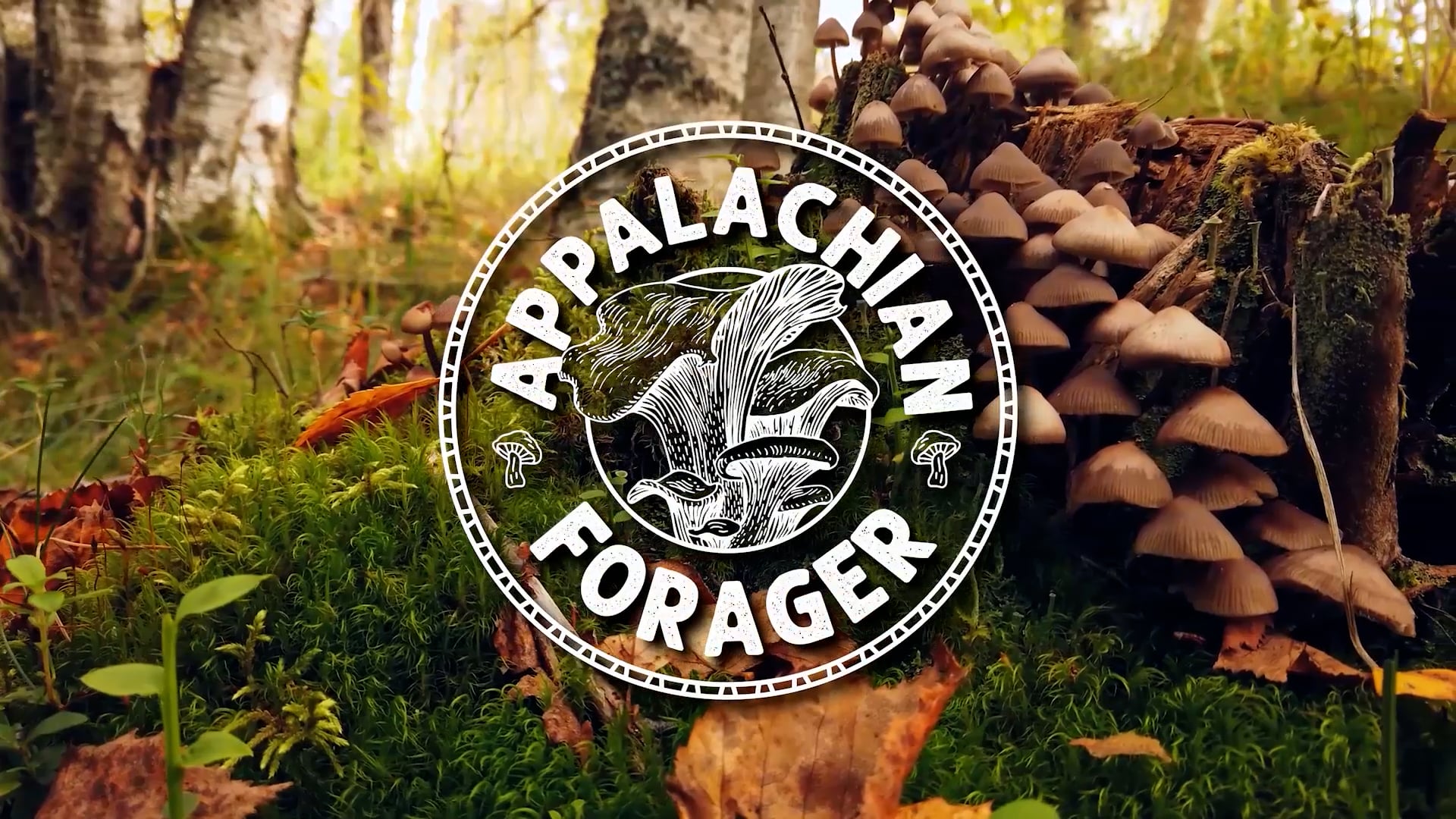 Appalachian Forager