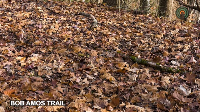 Mountain Top Nature - Bob Amos in the...