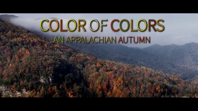 Color of Colors:  An Appalachian Autumn