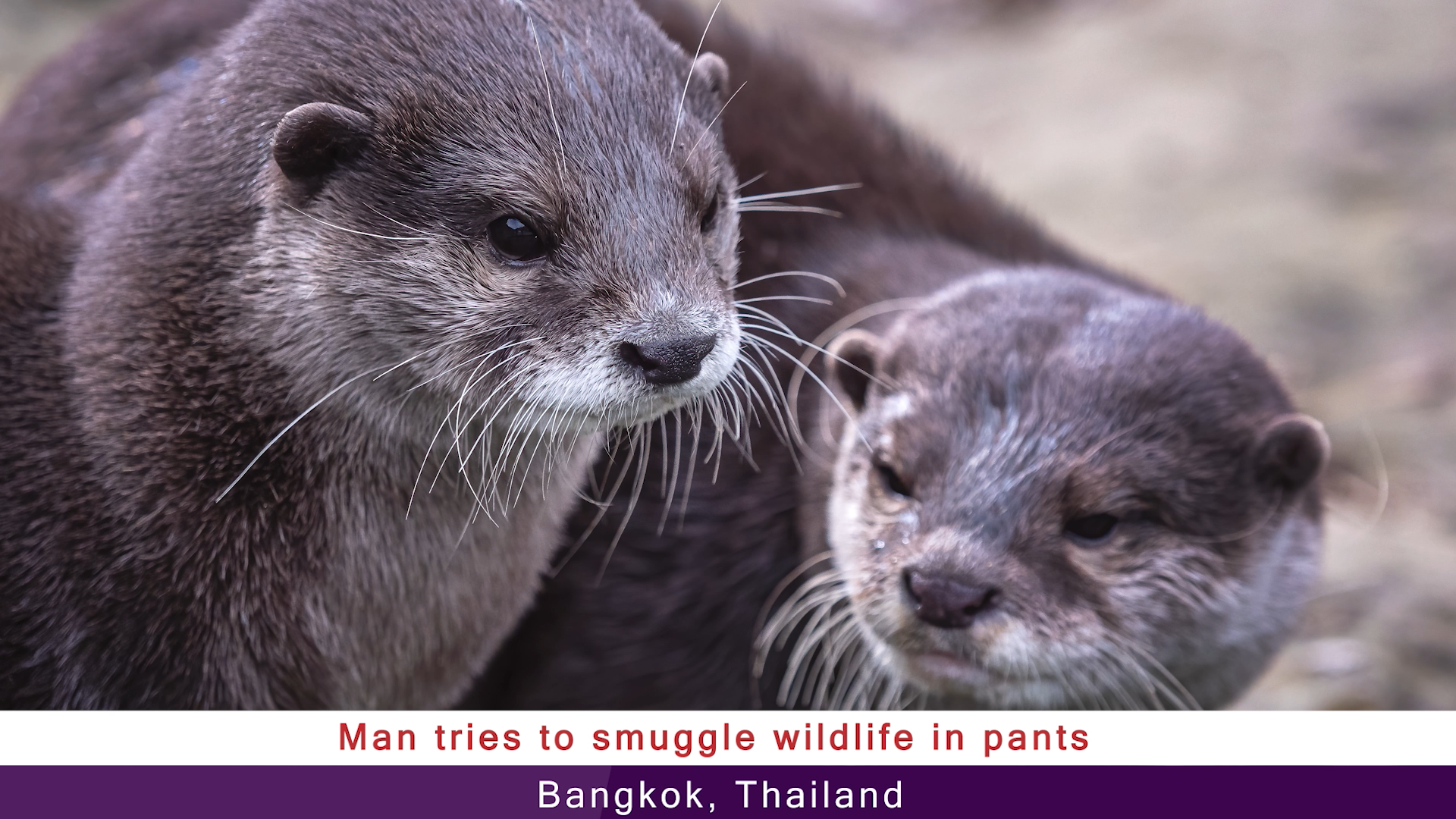 Shawn's Sh*t Show - 12/29/23