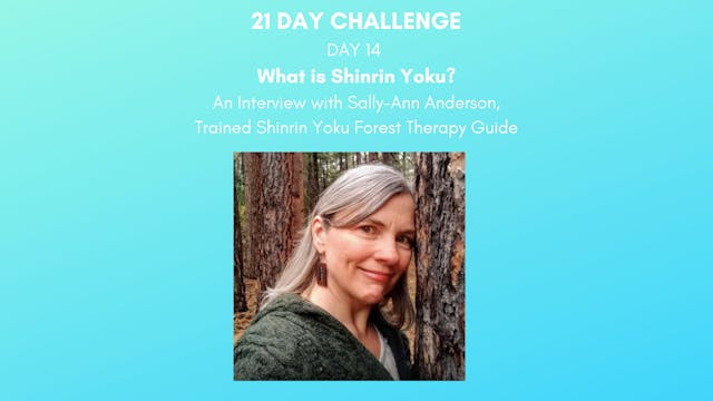 Day 21-  Wellness Practice: Shinrin Yoku, Forest Bathing