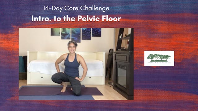 Intro. to The Pelvic Floor (Optional)