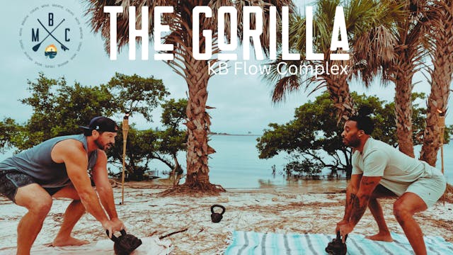 The Gorilla KB Flow Complex