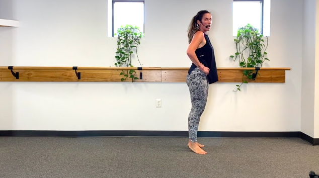 Barre (3/20/20) with Meghan 