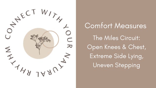 Comfort Measures: The Miles Circuit 