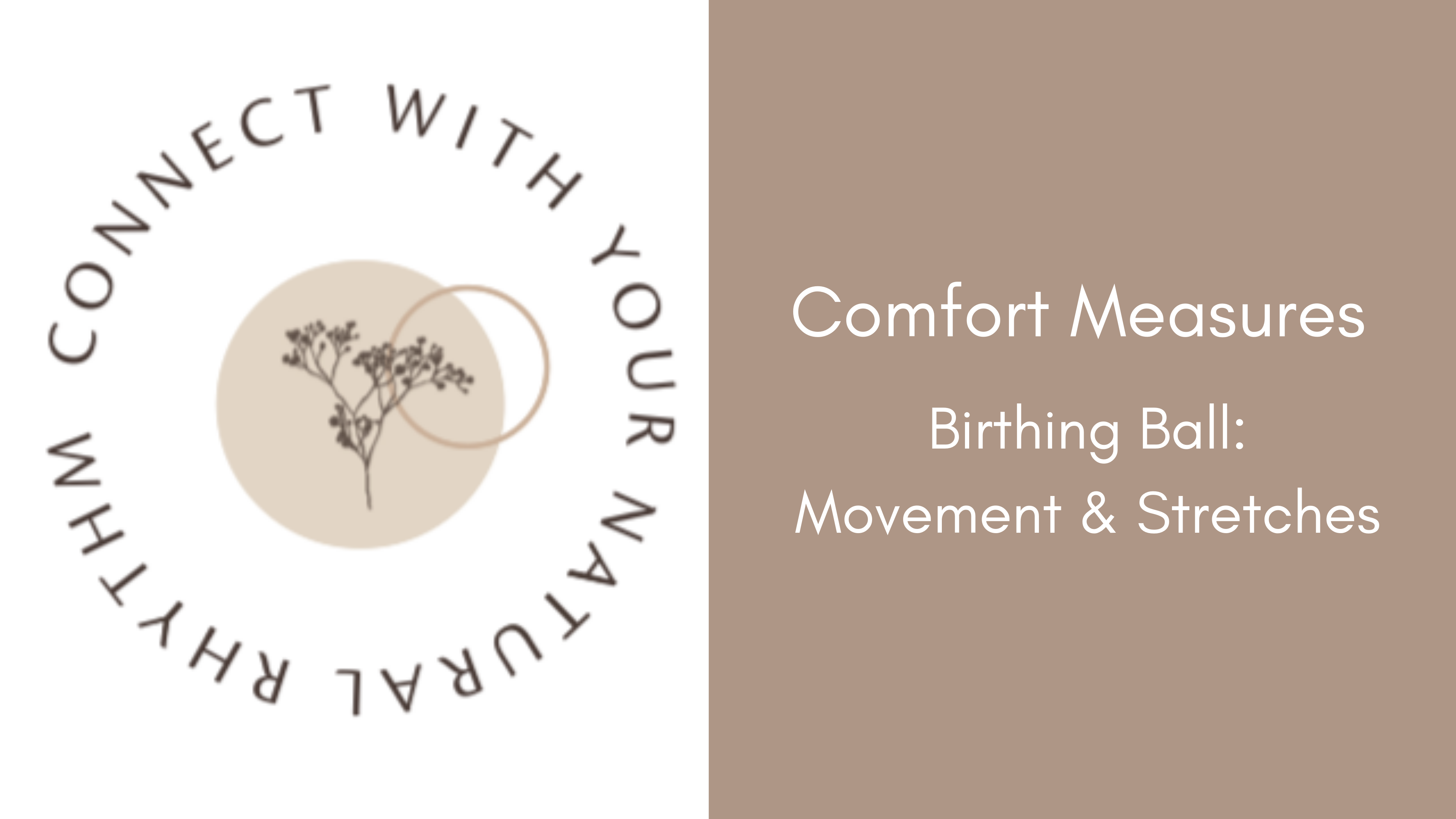 Comfort Measures: Birthing Ball Movement & Stretches 