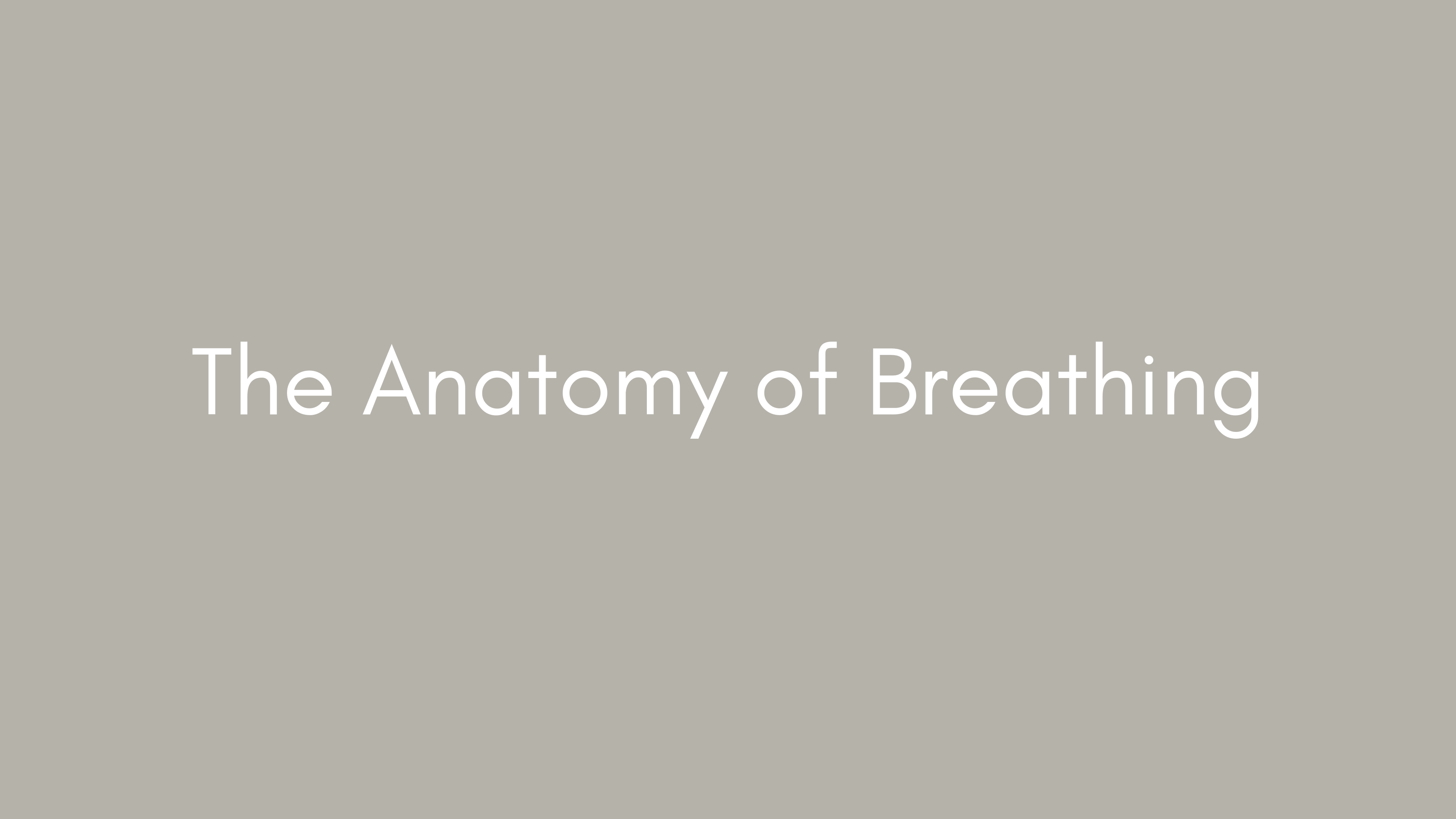 The Anatomy of Breathing