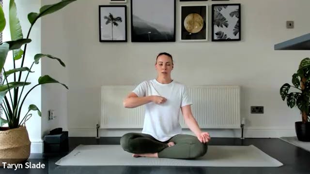 48 MIN PRENATAL GENTLE FLOW