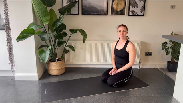 Week 4 Class 8 - Mid back mobility