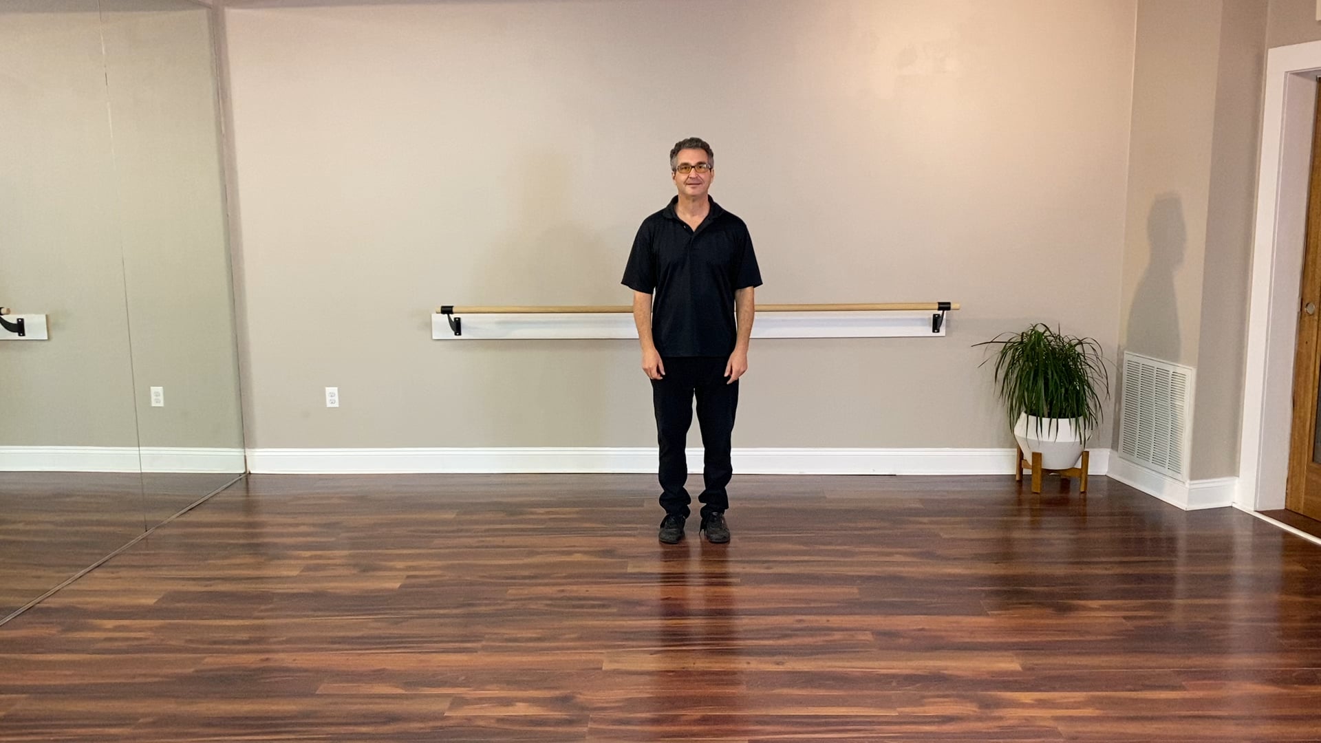 Yang 24 Form 3: White Crane Spreads Its Wings