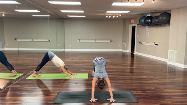 Active Yoga: Vinyasa Flow