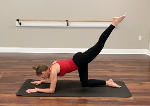 Fusion Lower Body - Express