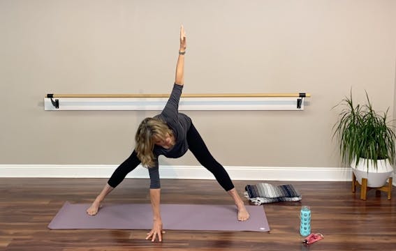 Multi Level Yoga: Twists -Live Zoom 4...