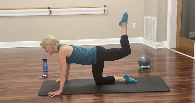 Barre Sculpt: Total Body with Sandy