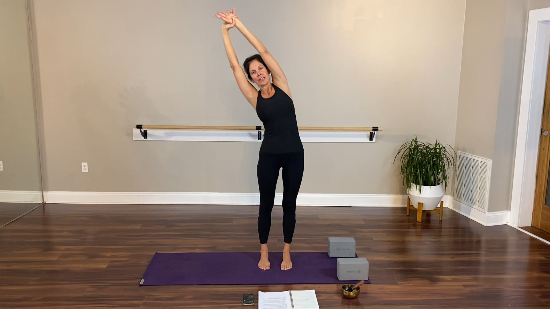 Yoga for Resilience: Stability | Part 2