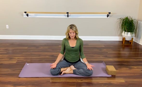 Mini Meditation with Karen