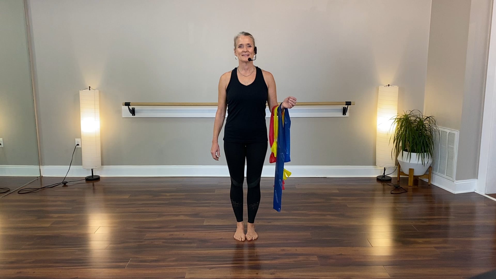 PhyToga Therapeutic Exercise: Shoulder Girdle and Rotator Cuff 