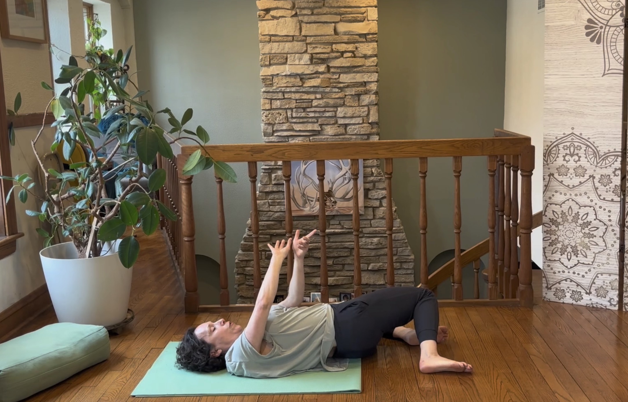 Optimize Hip Organization