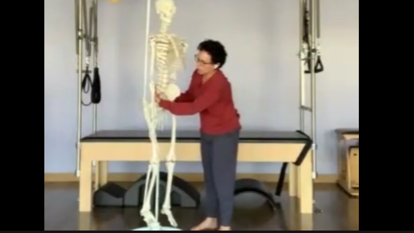 Oct 26th, 2024 Live Class Recording- PSOAS!!