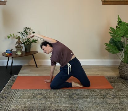 Whole Body Workout #2