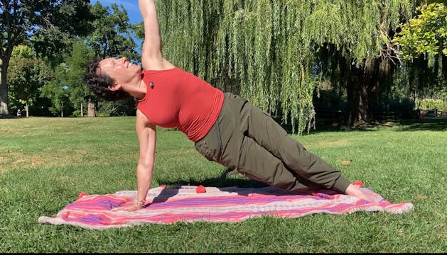 Whole Body #3 (20 min)