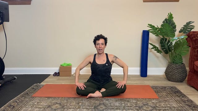 Whole Body #5 Traditional Pilates Mat