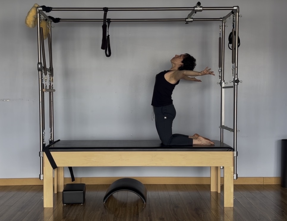 Exploring Your Suspended Spine