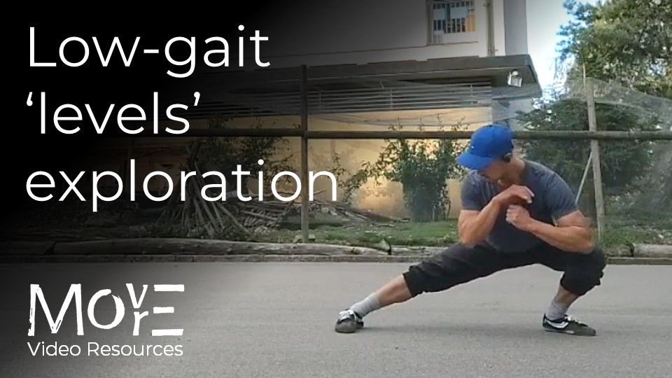 Fundamental low-gait 'levels' exploration