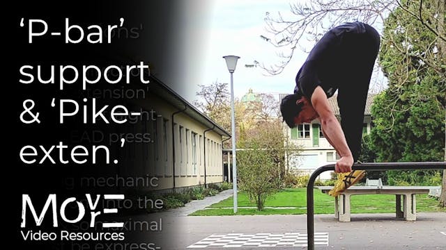 Fundamental 'P-bars' support to 'Pike...