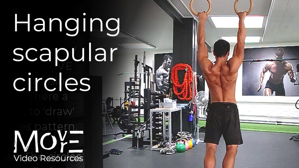 Hanging scapular circles & sequence