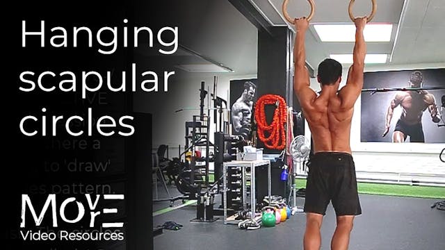 Hanging scapular circles & sequence