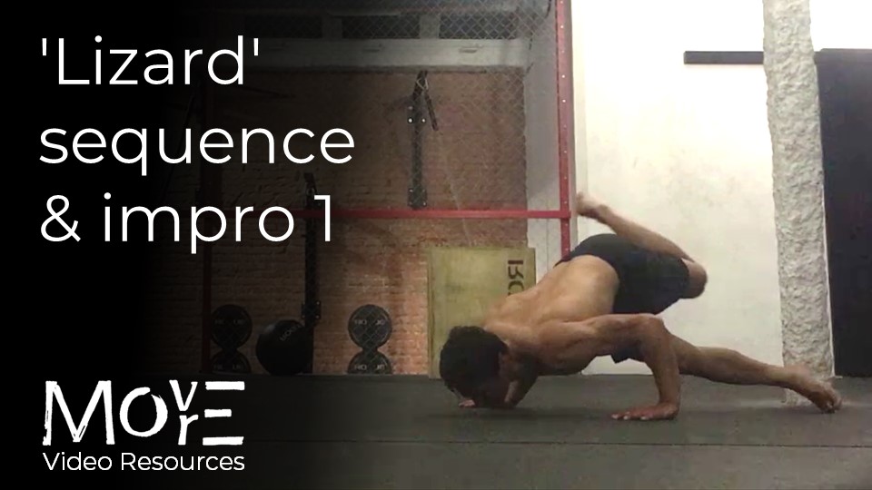 'Lizard' locomotion sequence/impro 1