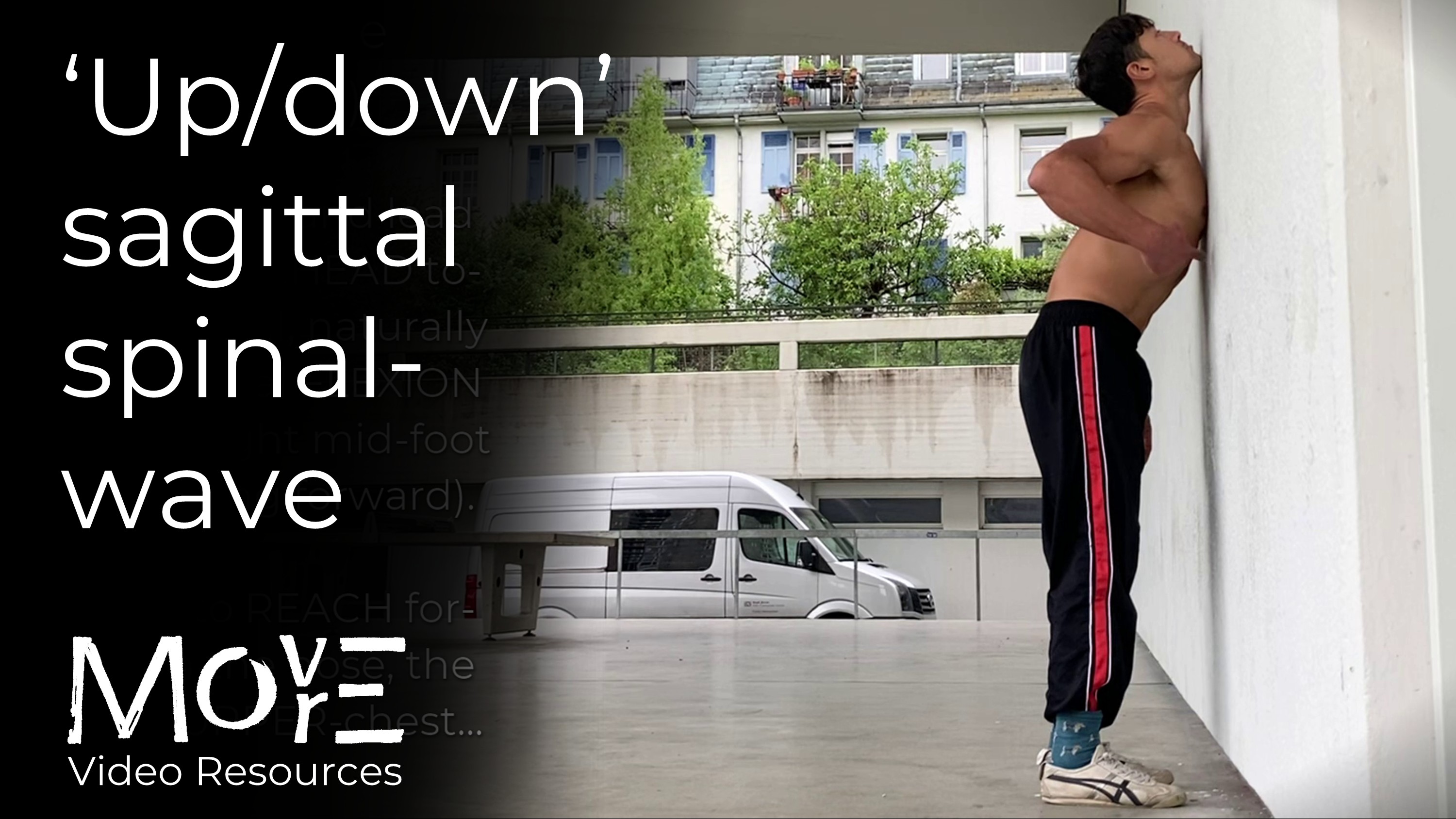 ‘Up/down’ sagittal spinal-wave