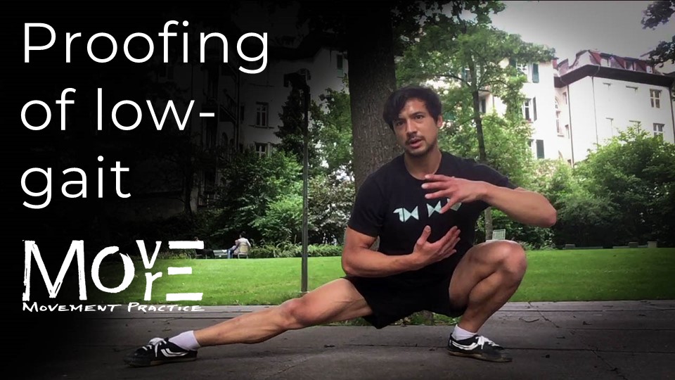 'Proofing' of Low-gait Position