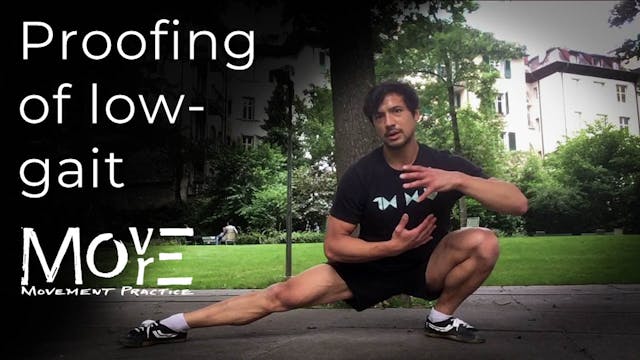 'Proofing' of Low-gait Position
