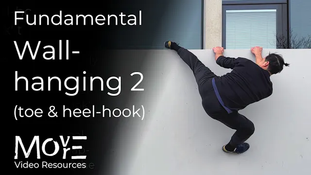 Fundamental wall-hanging 2: Toe-hooks...
