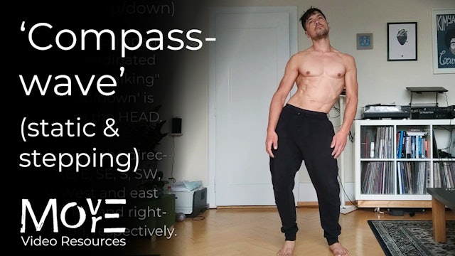 The ‘Compass’ wave (static & stepping)