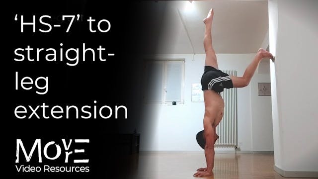 Handstand-7 to straight leg extension