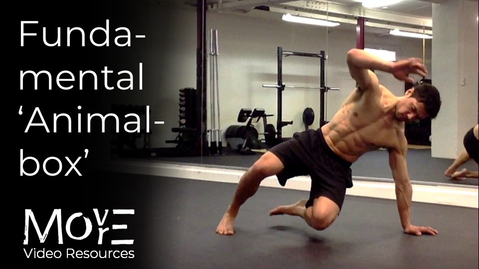 Fundamental "Animal Box" transition