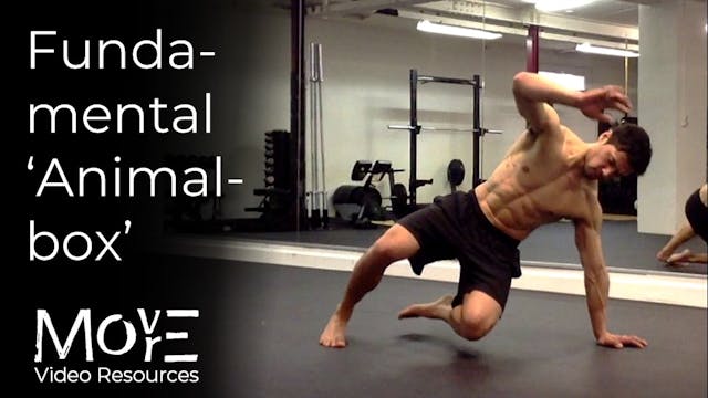 Fundamental "Animal Box" transition