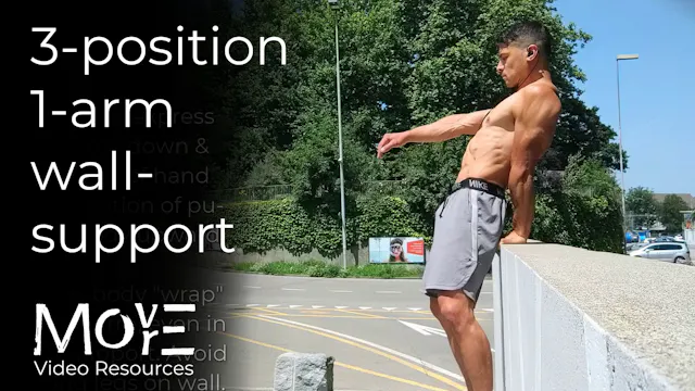 3-position 1-arm wall-support