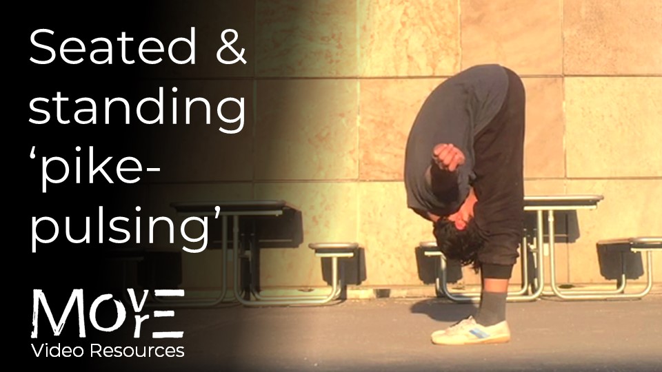 Seated & standing ‘pike-pulsing’